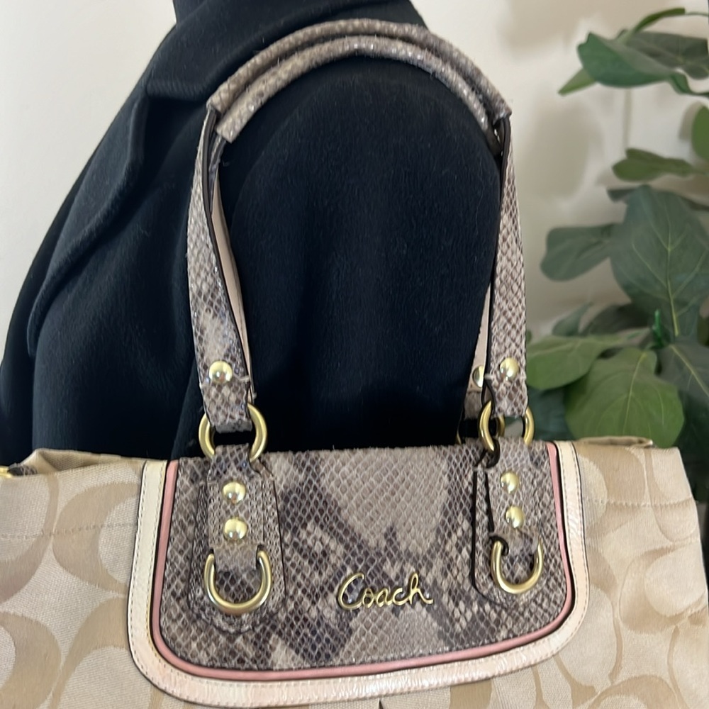 Coach Beige Signature Canvas And Python Embossed … - image 3